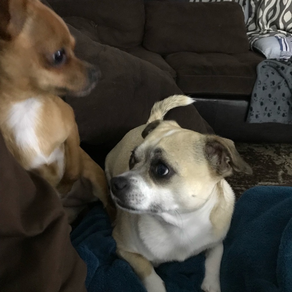 Meet your Posher, Catherine